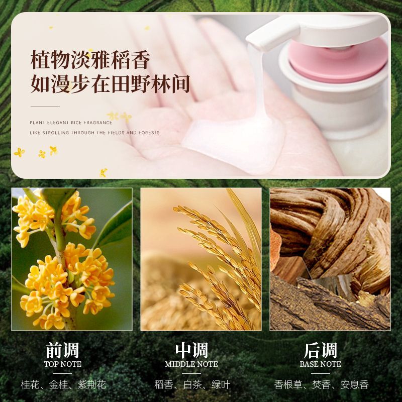 Changfa Xiaozhai Rice Water Sh - огляд і ціна Hair Care With Rice Water